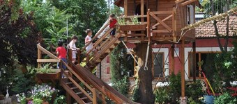 Rural Guest House in Olmedo (Spain)