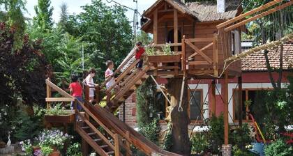Rural Guest House in Olmedo (Spain)