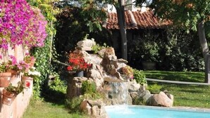A swimming pool with a waterfall feature, surrounded by potted plants and a tiled roof structure. - Rural Guest House in Olmedo (Spain) (Olmedo)