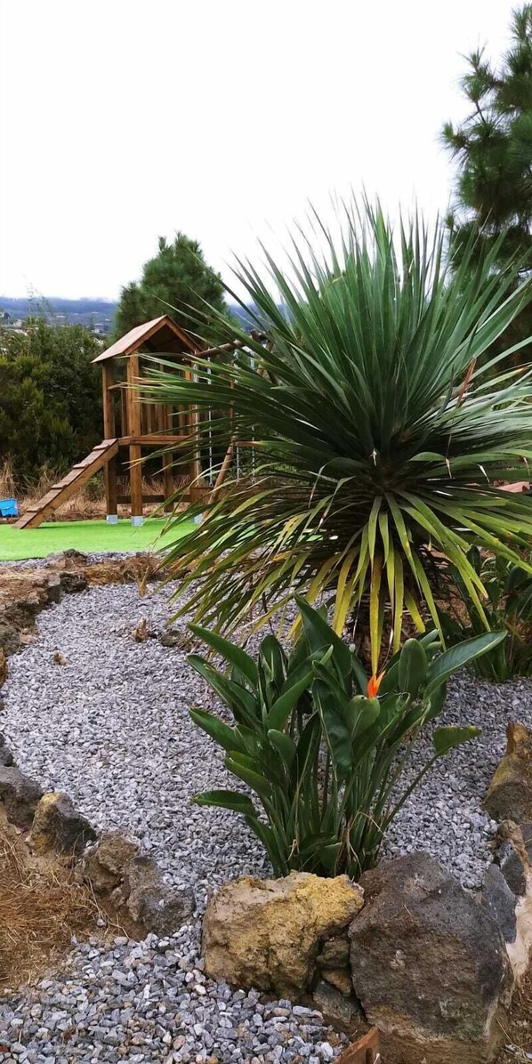 Property grounds - La Piñera Holiday Estate (Los Realejos)