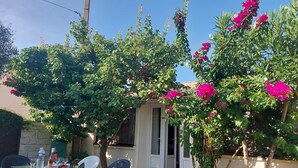 A patio area with a table set for two, surrounded by lush greenery and vibrant pink flowers.