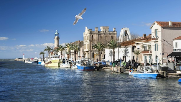 A coastal town with boats docked along the waterfront, a prominent building with a tower, and a seagull flying overhead.