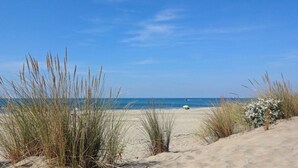 A beach with sand dunes, sparse vegetation, and a clear blue sky.