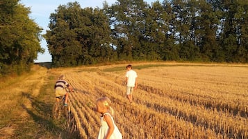 Terrein van de accommodatie