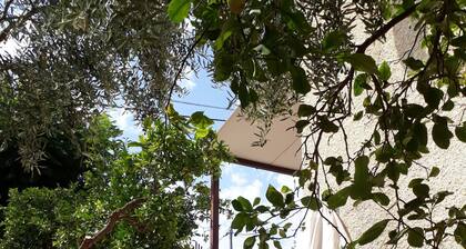 Villa ajardinada a medio camino entre el mar y la alta montaña