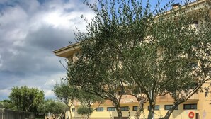 A well-maintained lawn with a tree and flower bed in front of a building with a pool. - Boadella Apartment (Lloret de Mar)