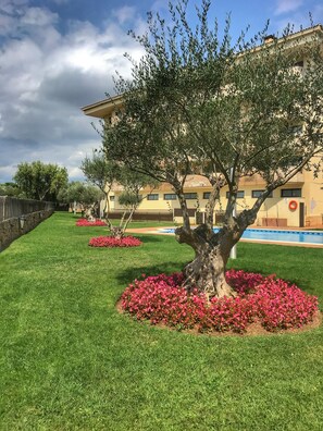 Terrein van de accommodatie