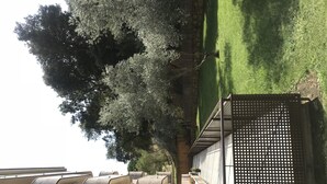 A row of beige, curved seating areas with a metal railing and a green lawn in the background. - Boadella Apartment (Lloret de Mar)