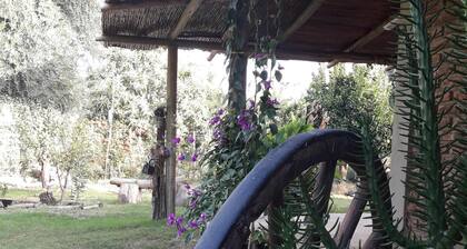 LA TATITA Complete house 5km from Chilecito