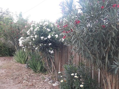 LA TATITA Complete house 5km from Chilecito