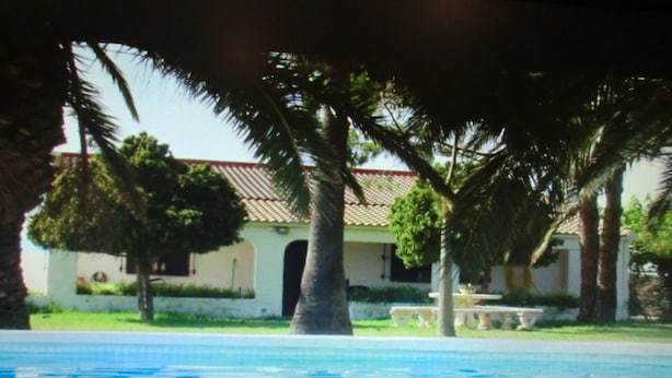 Une piscine dotée d’une terrasse carrelée, entourée de palmiers et bordée d’un bâtiment dont le toit est également recouvert de tuiles.