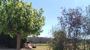 Un jardin avec un arbre, un petit jardin de rocaille et un sentier.