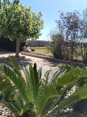 A garden with a tree, a small rock garden, and a pathway.