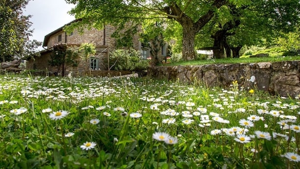 A stone building with a garden full of white flowers.