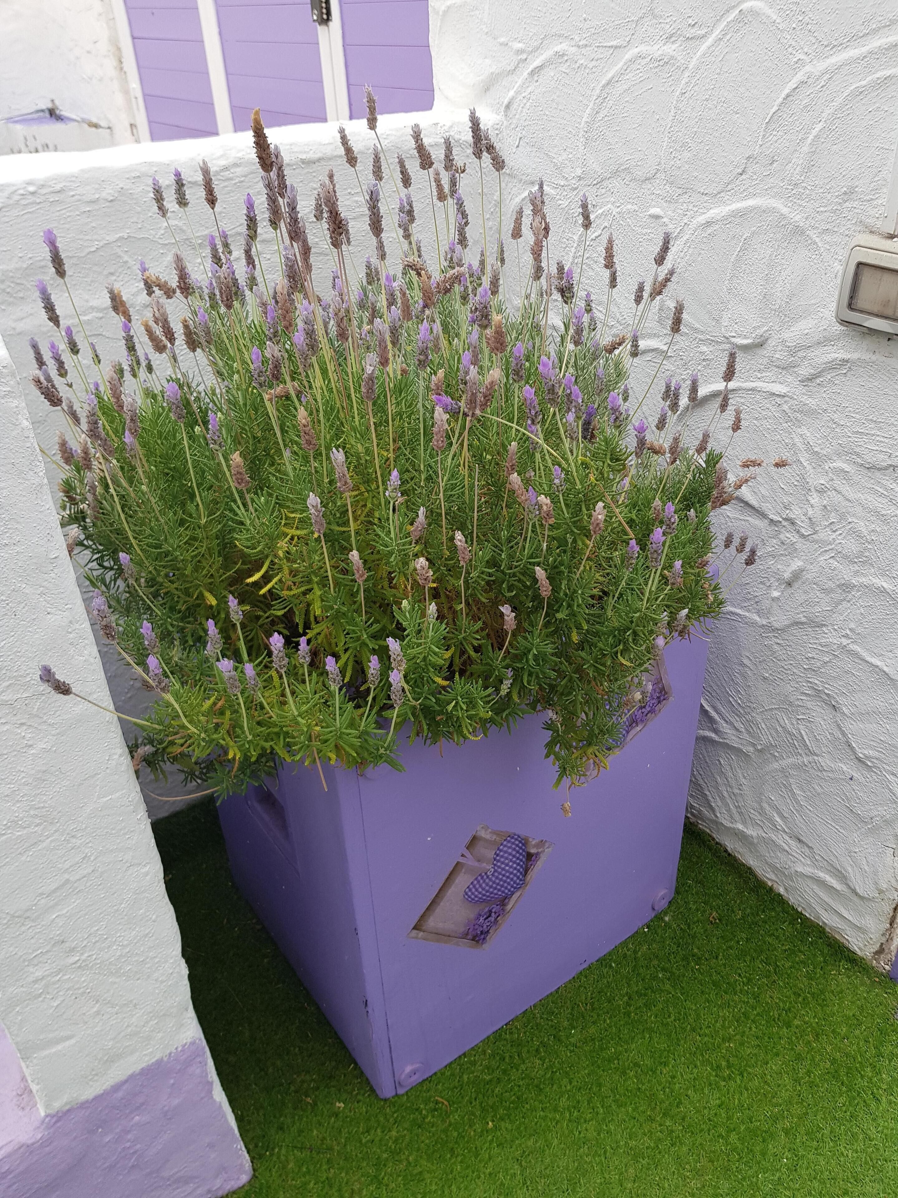 AP2 Apartman No2 with Garden