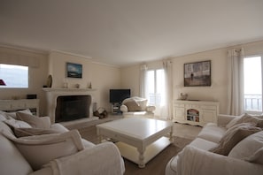 TV, fireplace, books