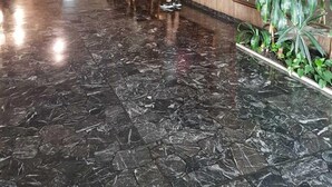 Um hall de entrada com piso de mármore, painéis de madeira, um balcão de recepção e um vaso com planta.