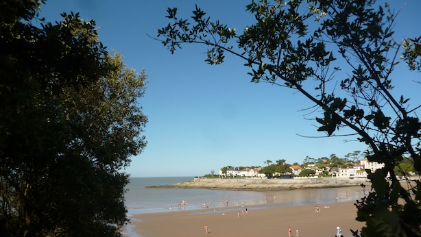 Uma praia com pessoas nadando e caminhando, cercada por árvores e edifícios ao fundo.
