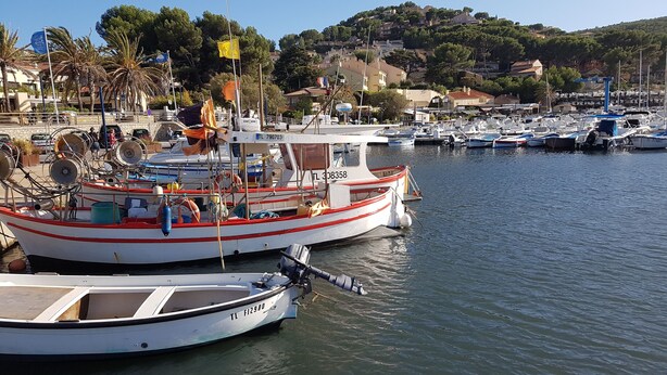 Un puerto deportivo con varias embarcaciones amarradas, cielo despejado y una colina con edificios al fondo.