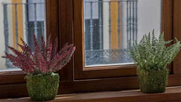 A balcony with a table set for breakfast, featuring fruit and juice glasses, and two potted plants. - WIDE AND COMFORTABLE 6 PERSONS APARTMENT IN DOWNTOWN - FREE WIFI AND A / C (Sevilla)
