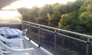 A balcony with a table and chairs, overlooking a forested area.