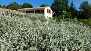 A building with a tiled roof and a garden with olive trees.