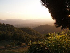 Property grounds - Fabulous Farmhouse on the Mugellane Hills near Florence. Feel the nature  (Vicchio)