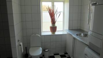 Combined shower/bathtub, hair dryer, towels