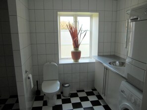 Combined shower/tub, hair dryer, towels
