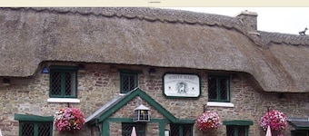 Detached annexe in a pretty village close to Botanical Gardens and Carmarthen