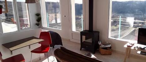 Télévision, cheminée, lecteur de DVD, chaßne hi-fi