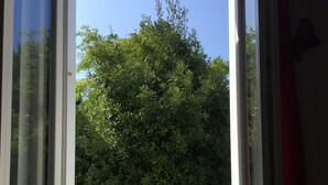 Een uitzicht op weelderige groene begroeiing en een helderblauwe lucht.