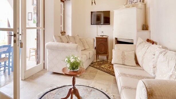 Ein Wohnzimmer mit einer Couch, einem Couchtisch mit einer Pflanze, einem Fernseher und einem Kamin.