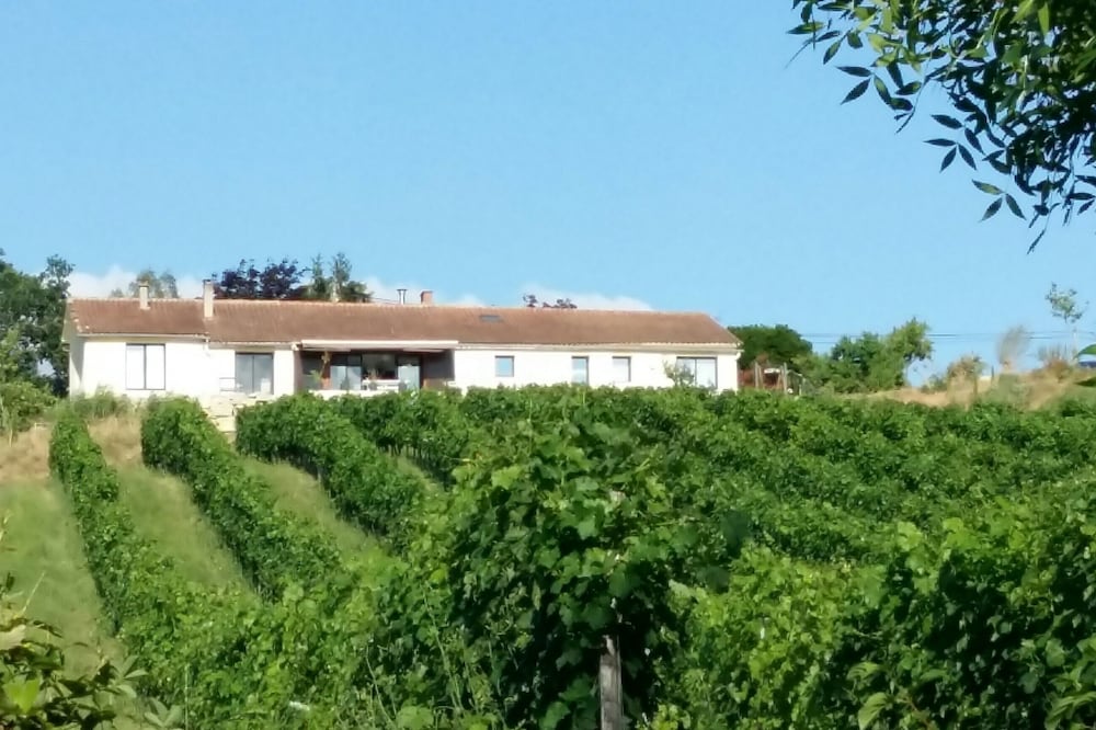 Vineyard View Studio with 180 ° views of the vineyards