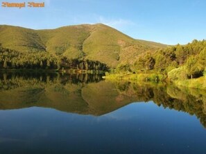 Botón de imagen sin clasificar, 3 de 43