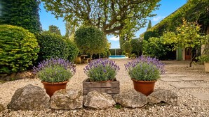 Un jardin avec une piscine, entouré de murs en pierre et agrémenté de plantes de lavande en pot.