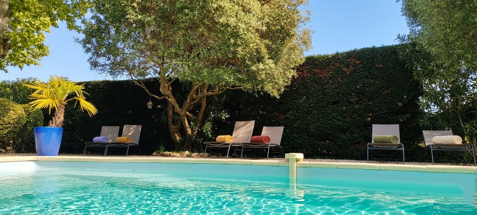 A swimming pool with lounge chairs, a palm tree, and a hedge in the background.