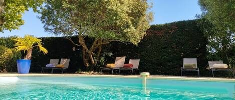 A swimming pool with lounge chairs, a palm tree, and a hedge in the background.