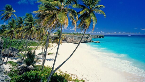 A beach with white sand, clear turquoise water, and palm trees.