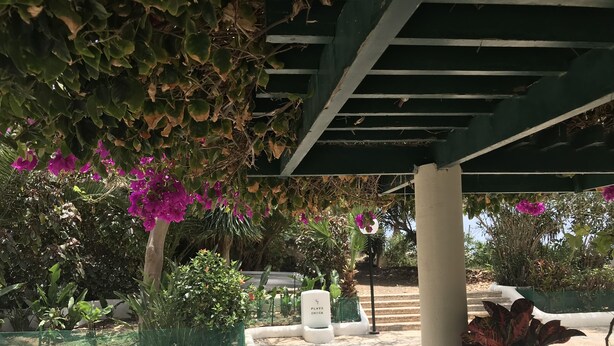 Un espace extérieur abrité, doté d’un sol carrelé, entouré de différentes plantes et agrémenté d’une enseigne indiquant « PLAYA CHICA ».