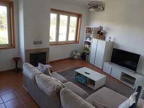 TV connectée, cheminée, lecteur de DVD, livres