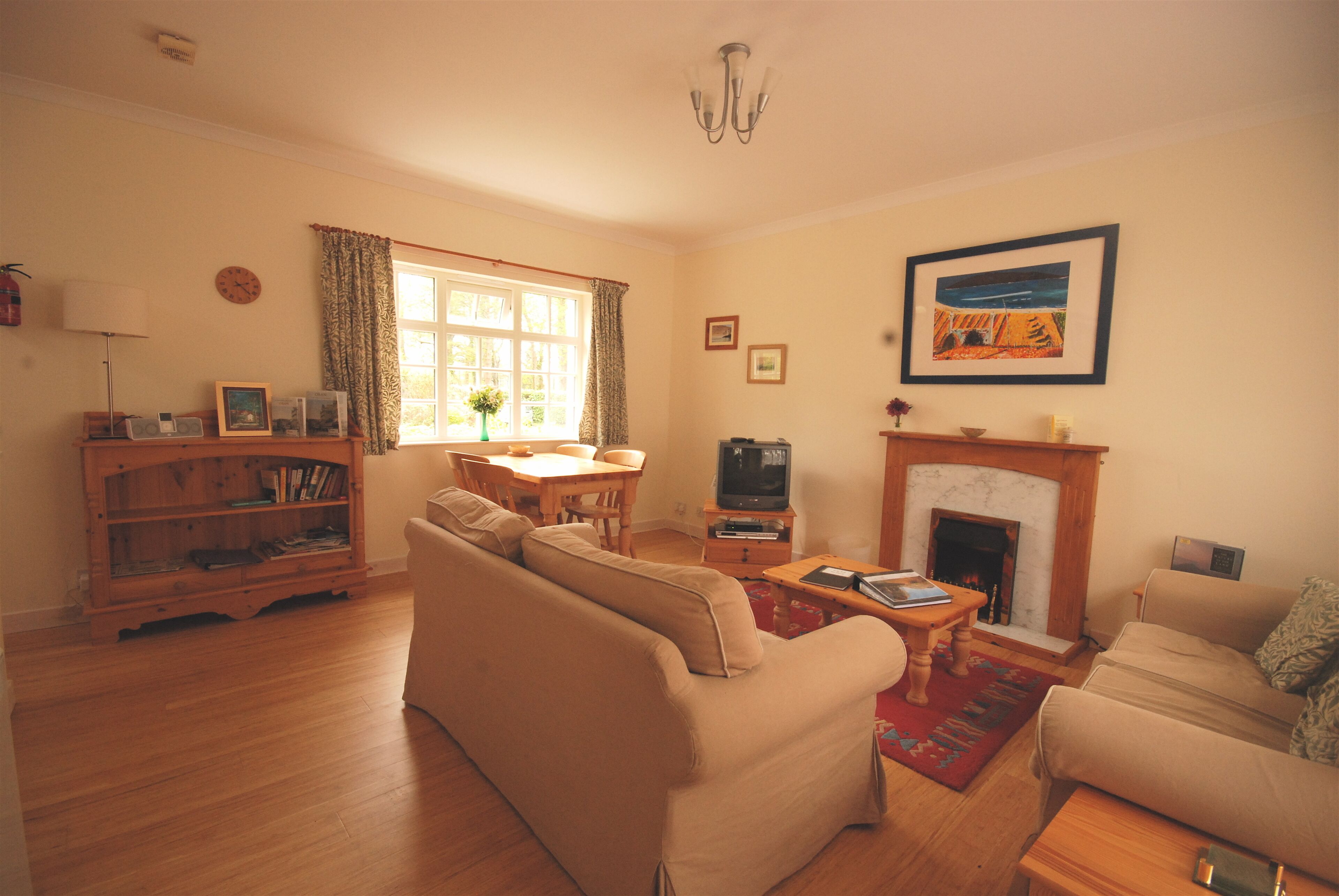 TV, fireplace, DVD player, ping pong