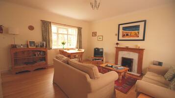 TV, fireplace, DVD player, ping pong