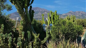 A desert garden with various cacti and succulents, a rock garden, and a mountain backdrop under a clear blue sky. - Cortijo el Chenil rural retreat, La Perrita (Casarabonela)