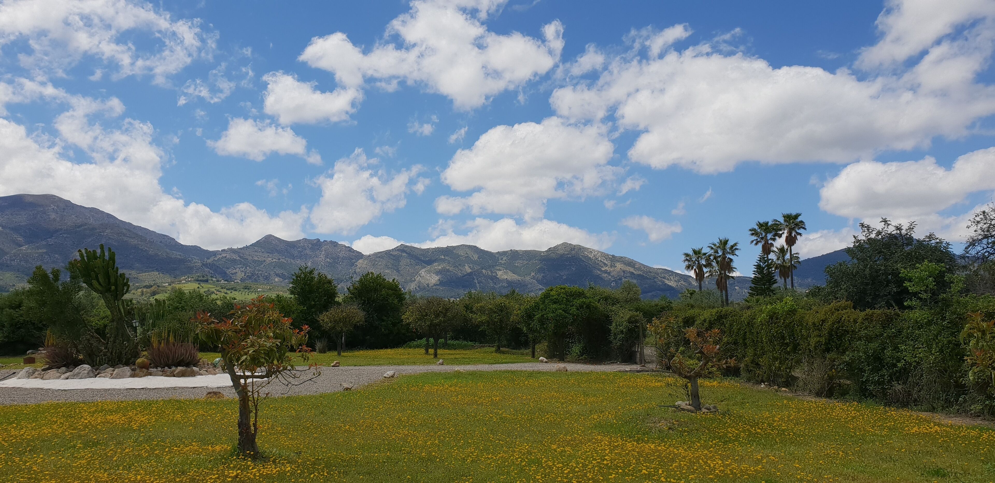 Paisagem montanhosa com céu claro e algumas nuvens.