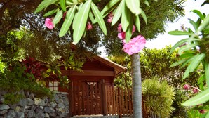 Uma cabana de madeira com entrada em parede de pedra, cercada por vegetação exuberante e plantas floridas.