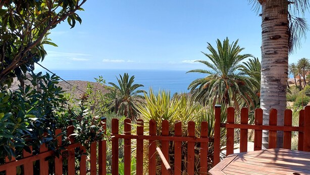 Um deck de madeira com vista para o oceano e palmeiras.