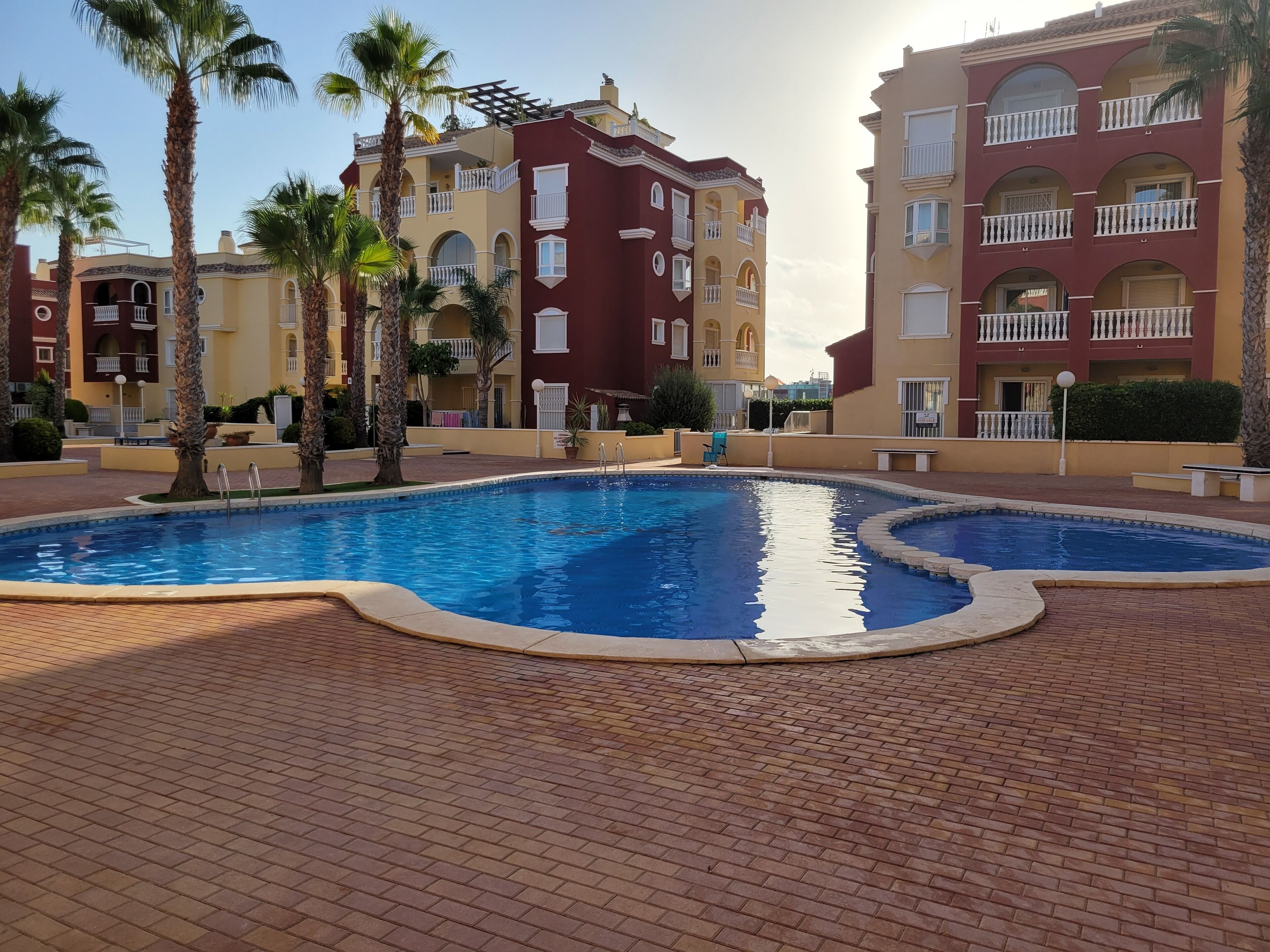 A swimming pool surrounded by palm trees and a brick walkway.