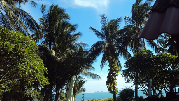 A pool area with lounge chairs and umbrellas, surrounded by palm trees and a clear view of the ocean. - Amazing 3 Bedroom, Thai Style Beachside, Villa (Koh Samui)