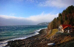 Nära stranden